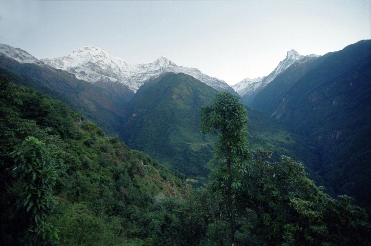 01 Chomrong Looking Towards The Annapurna Sanctuary With Annapurna South, Hiunchuli and Machapuchare 